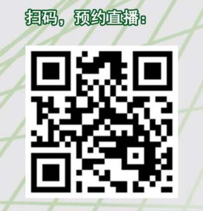 银飞