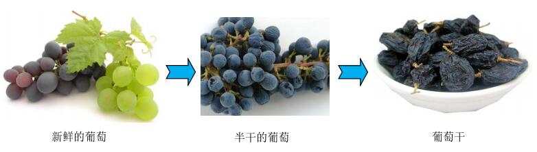 水果质构测试与分析