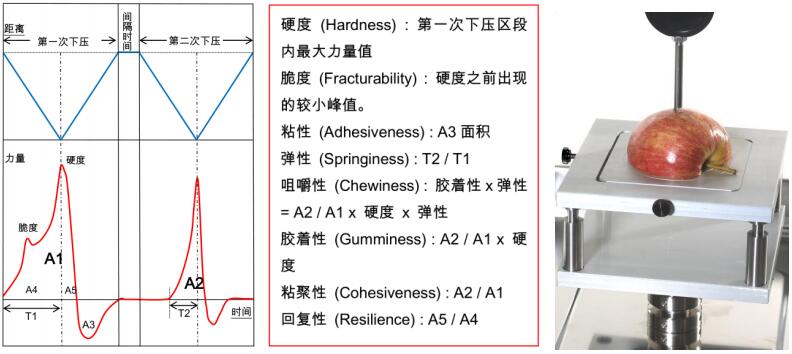 质构分析