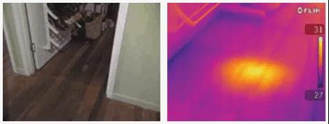FLIR Exx高分辨率的红外热像仪