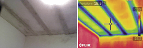 FLIR E98红外热像仪